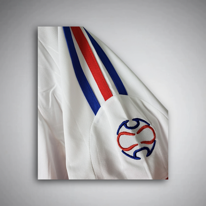Camiseta Francia 2006 - Final Copa del Mundo